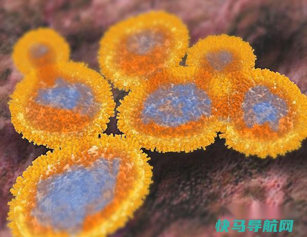 三招助你识别是否感染甲流 第2张