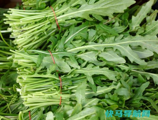 高血压能吃茼蒿吗？茼蒿煮多久可以煮熟